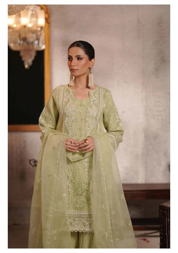 Pakistani Dress (PKD-004)