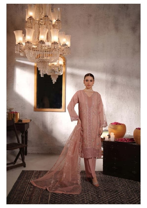 Pakistani Dress (PKD-008)